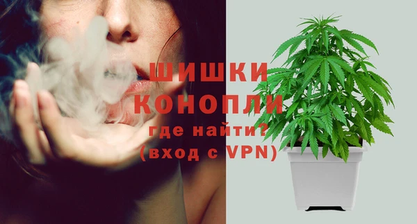 дживик Белокуриха