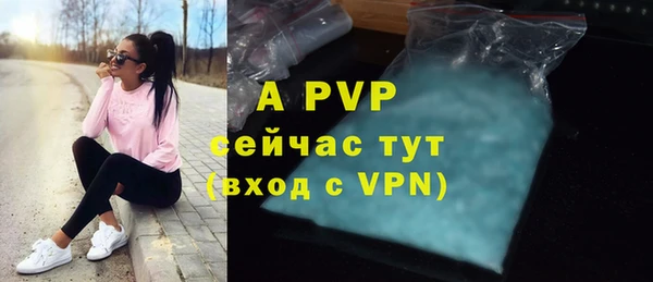 дживик Белокуриха