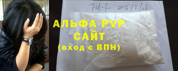 дживик Белокуриха