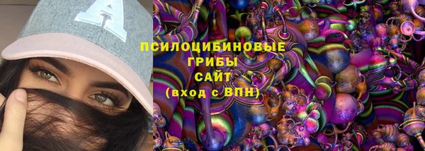дживик Белокуриха