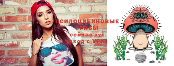 дживик Белокуриха