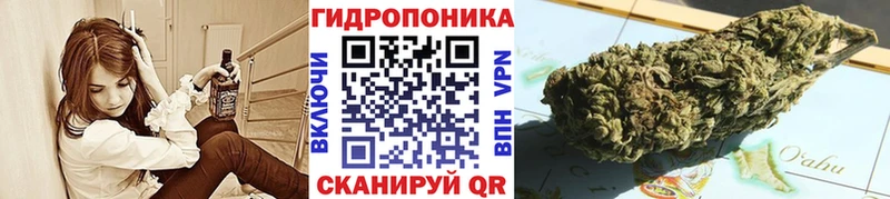 Бошки Шишки Ganja Пятигорск